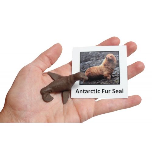  Curious Minds Busy Bags Montessori Antarctic Polar Animal Match - Miniature Arctic Animal Toy Figurines with Matching Cards - 2 Part Cards. Montessori learning toy, language materials Busy Bag Activity