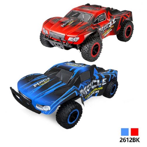  Naladoo RC Car Remote Control Car Electric Racing Car Off Road Scale Desert Buggy Vehicle 2.4GHz 50M 2WD High Speed Electric Race Monster Truck Hobby Rock Electric Buggy Crawler Be
