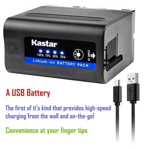  Kastar 2 Pack Battery and Dual Rapid Charger for Sony NP-F980 Pro NP-F960 NP-F960 NP-F750 NP-F550 NP-F330 NEX-EA50M NEX-FS100 NEX-FS700R NEX-FS700RH FDR-AX1 PXW-Z100 PXW-Z150 MPK-D