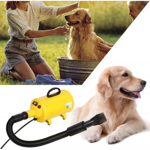  Amzdeal amzdeal Dog Dryer 2800W 3.8HP Pet Blow Dryer Grooming Hair Blower Speed Adjustable with Heater for Dogs Cats 4 Different Nozzles