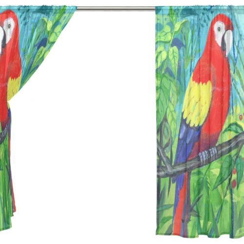  ALAZA Sheer Curtain Bird Parrot Art Painting Voile Tulle Window Curtain for Home Kitchen Bedroom Living Room 55x78 inches 2 panels