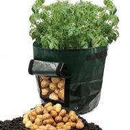 Cokil cokil Taro Potato Planter Bag Plant Flower Grass Grow Pot Home Garden Garden Tool Holders