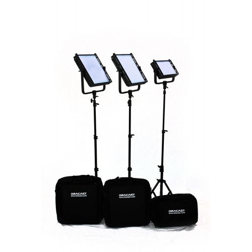  Dracast DR-LK-1x500-2x1000-DSG Pro 2 X LED1000 and 1 LED500 Kit, Daylight Spot with Gold Mount Battery Plates (Black)