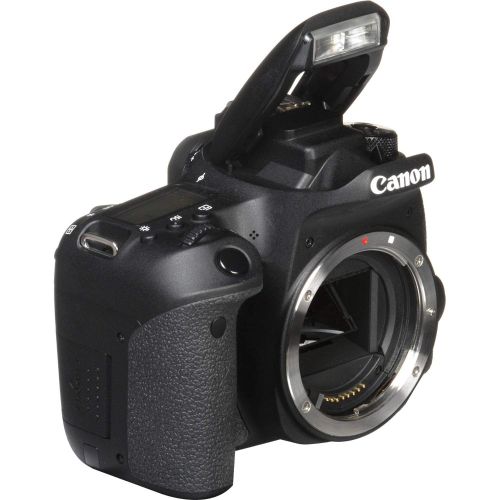 캐논 Canon EOS 77D DSLR Camera with Accessory Bundle (Body Only Essential)