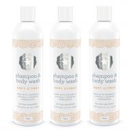 Baja Baby Citrus Shampoo and Body Wash - EWG VERIFIED - Family Size - 16 fl oz - NEW AND IMPROVED - Free of Sulphates, Parabens and Phosphates - Dr Approved! (Three Bottles)