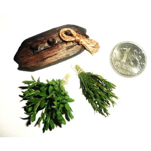  Donlane Spices. Rosemary and sage. Dollhouse miniature 1:12