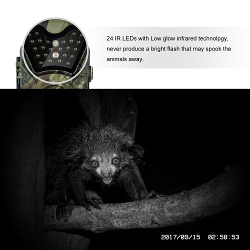  Anpviz Trail Game Camera, 1080P HD 12MP Infrared Night Vision Hunting Outdoor Camera, 0.5s Trigger Speed and 65 Feet Trigger Distance, Weatherproof Motion Sensor for Wildlife Surveillance