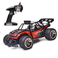 DEME RC Car, 1:16 Remote Control Car 2WD High Speed Car Off-Road Rock Vehicle 2.4GHz 50M High Speed Electric Race Monster Truck Desert Buggy Vehicle for Children Gift