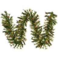 Vickerman Pre-Lit Mixed Country Pine Garland with 70 Clear Dura-Lit Lights, 6-Feet, Green