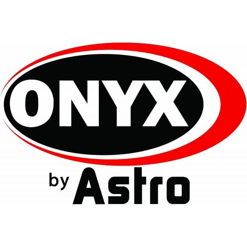  Astro Pneumatic Tool Astro 2181B ONYX Die Grinder Kit, 2-Piece