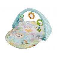 Fisher-Price Butterfly Dreams Musical Playtime Gym [Amazon Exclusive]