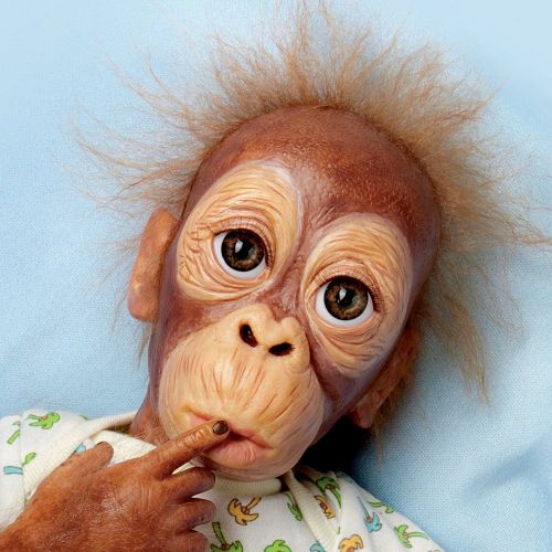  The Ashton-Drake Galleries Lifelike Baby Orangutan Doll: Baby Pongo by Ashton Drake