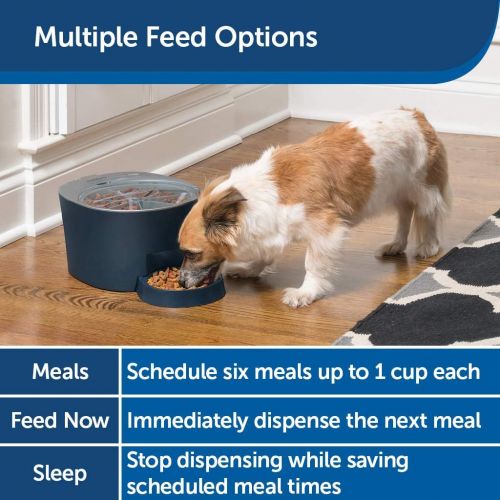 PetSafe Six Meal Automatic Pet Feeder, Dispenses Cat and Dog Food, Battery Powered Digital Clock, LCD Screen Display