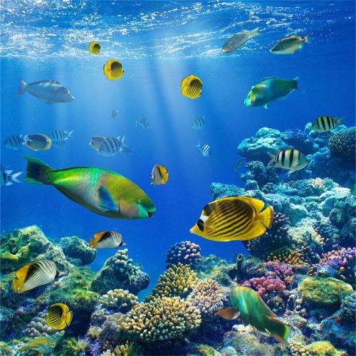  Gladbuy Vinyl 10X10FT 3D Underwater World Backdrop Aquarium Backdrops Fish Coral Blue Sea Tropical Photography Background for Kids Adults Summer Journey Ocean Sailing Portrait Phot