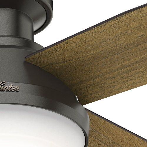  Hunter Fan Company Hunter 59447 Dempsey Low Profile with Light 52 Ceiling Fan Handheld Remote, Large, Noble Bronze