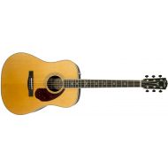 Fender Paramount PM-1 Standard Dreadnought - Natural: Musical Instruments