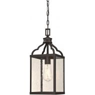 Westinghouse 6359300 Cardinal One-Light, Oil Rubbed Bronze Finish with Highlights and Clear Seeded Glass Outdoor Pendant, HI