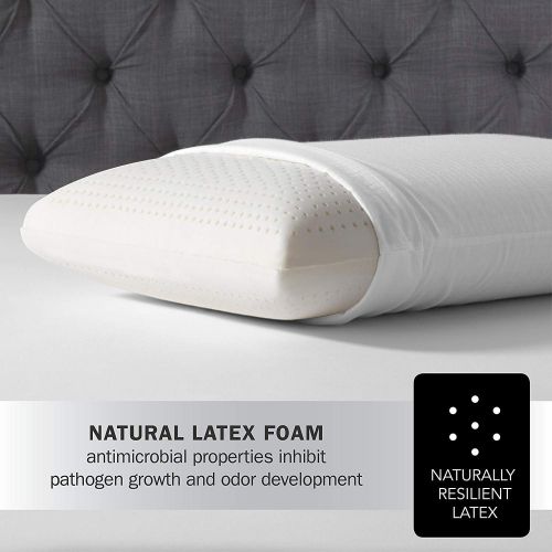 뷰티레스트 Beautyrest Latex Foam Pillow (Standard 2 Pack)