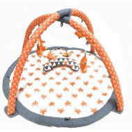Bacati Playful Fox Activity Gym with Mat