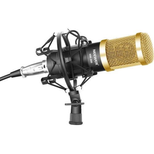 니워 Neewer Professional Studio Broadcasting Recording Condenser Microphone & NW- 35 Adjustable Recording Microphone Suspension Scissor Arm Stand with Shock Mount and Mounting Clamp Kit