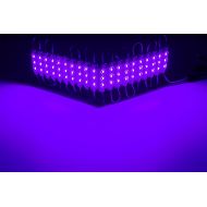 LEDUPDATES 40ft Storefront LED light purple with UL Listed 12v 6A Power Supply