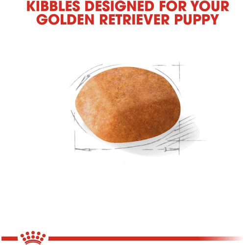  Royal Canin Breed Health Nutrition Golden Retriever Puppy Dry Dog Food
