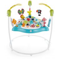 /Fisher-Price Color Climbers Jumperoo, Activity Jumper for Baby