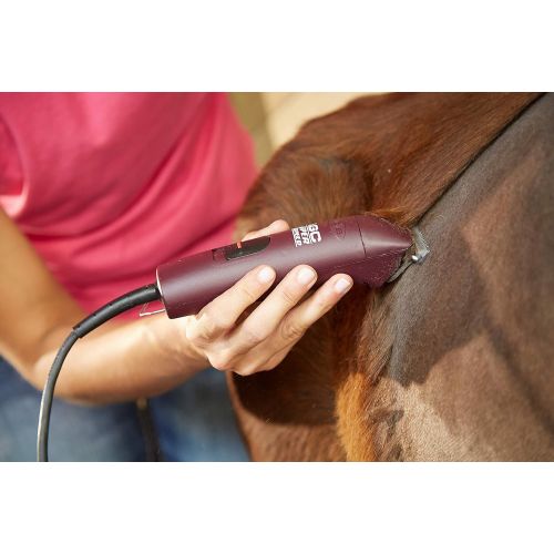  Andis ProClip 2-Speed Detachable Blade Clipper, Professional Animal Grooming, AGC2