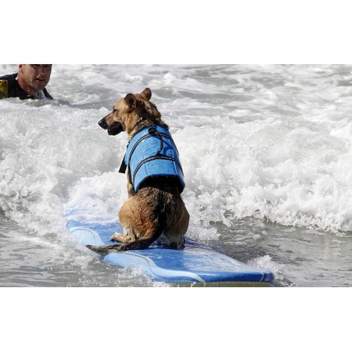  Kedera Pet Dog Swimming Life Jacket Preserver Life Vest Coat With Adjustable Belt