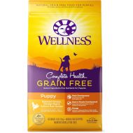 Wellness Natural Pet Food Wellness Complete Health Natural Grain Free Dry Dog Food Puppy Chicken & Salmon