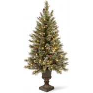 National Tree Company National Tree 5 Foot Glittery Bristle Pine Entrance Tree with Glittered Branches, White Tipped Cones and 150 Clear Lights in Decorative Urn (GB3-306-50)