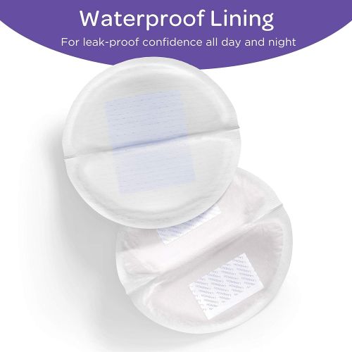 란시노 Lansinoh Stay Dry Disposable Nursing Pads for Breastfeeding, 200 count
