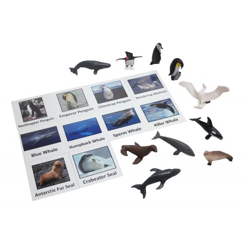  Curious Minds Busy Bags Montessori Antarctic Polar Animal Match - Miniature Arctic Animal Toy Figurines with Matching Cards - 2 Part Cards. Montessori learning toy, language materials Busy Bag Activity
