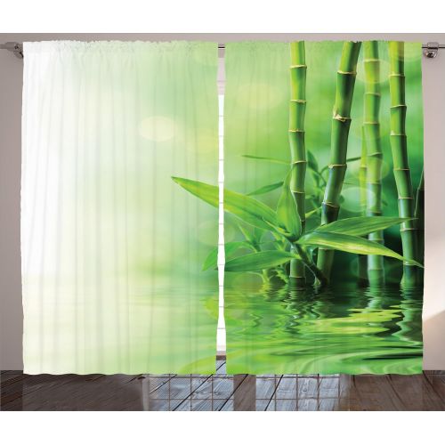  Ambesonne Lake House Decor Curtains, Stream Flowing in The Forest Over Mossy Rocks Tree Foliage Splash Summertime Hiking, Living Room Bedroom Decor, 2 Panel Set, 108 W X 90 L inche