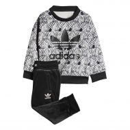 Adidas+Originals Adidas Kids(Infant) Originals Zebra Crew Set