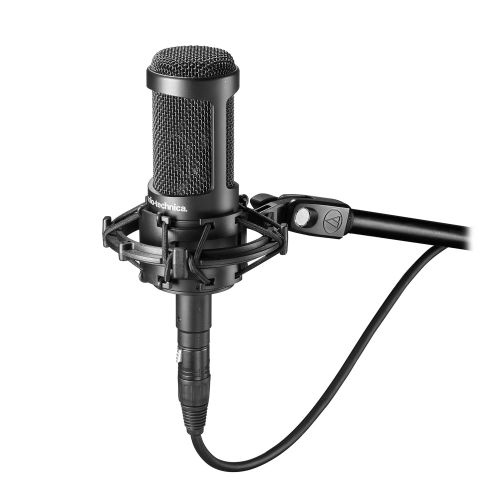오디오테크니카 Audio-Technica AT2050 Multi-Pattern Condenser Microphone
