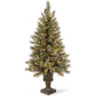 National Tree Company National Tree 4 Foot Glittery Bristle Pine Entrance Tree with White Tipped Cones, Glitter and 100 Clear Lights in Decorative Urn (GB3-306-40)