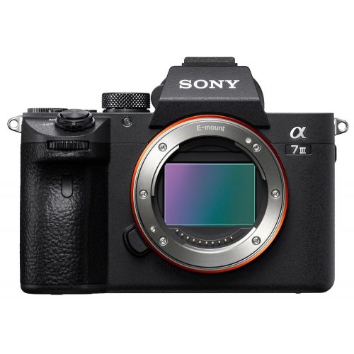 소니 Sony Alpha a7iii Mirrorless Digital Camera (Body Only) Holiday Bundle