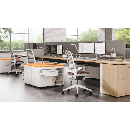  Steelcase Series 1 Office Desk Chair: Height-Only Ajustable Arms - Standard Carpet Casters - Black Frame and Base - 3D Microknit Back - Graphite