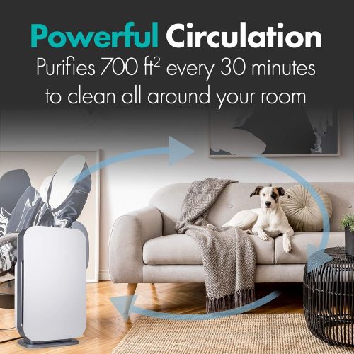  [아마존 핫딜] Alen BreatheSmart FLEX Air Purifier for Bedrooms and Offices, 700 Sqft. Coverage Area, True HEPA Filter for Allergies, Cedar Fever, Pollen, Dust, Dander and Fur in White