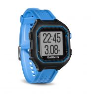 Fitness Trackers Garmin Forerunner 25 (Large) - Black and Blue