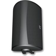 Definitive Technology AW 6500 Outdoor Speaker (Single, Black)