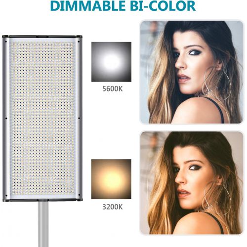 니워 Neewer Dimmable Bi-Color LED Professional Video Light for Studio, YouTube Outdoor Video Photography Lighting Kit, Durable Metal Frame, 960 LED Beads, 3200-5600K, CRI 95+