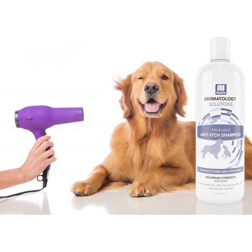  Nootie Medicated Oatmeal Dog Shampoo Anti-ITCH Maximum Strength Formulation With 1% Lidocaine HCL 1% Pramoxine HCL and Colloidal Oatmeal