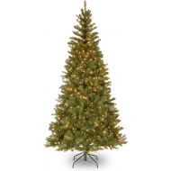 National Tree Company National Tree 6 Foot Aspen Spruce Tree with 300 Clear Lights, 6 Foot (AP7-300-60)