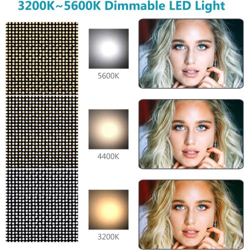 니워 Neewer Dimmable Bi-Color LED Professional Video Light for Studio, YouTube Outdoor Video Photography Lighting Kit, Durable Metal Frame, 960 LED Beads, 3200-5600K, CRI 95+