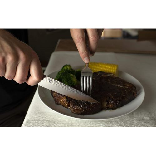  Shun TDM0711 Premier Steak Knife, 5-Inch