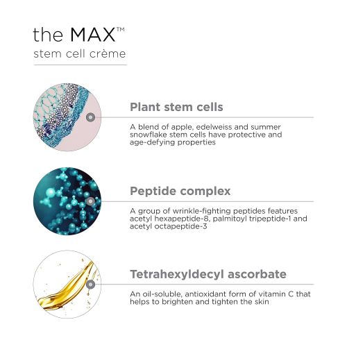  IMAGE Skincare The Max Stem Cell Croeme with VT, 1.7 oz.