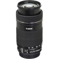 Canon EF-S 55-250mm F4-5.6 is STM Lens with UV Protection Filter - 58 mm