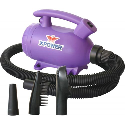  XPOWER B-55 - 2 HP Portable (Do it Yourself) Home Dog Force Dryer for Home Grooming, Backup Dryer, Travel Dryer| Purple